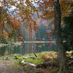 Herbst am Rachelsee